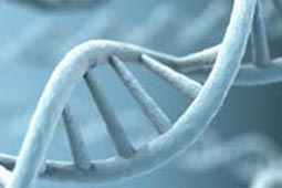 一手货源批发的简单轰炸机